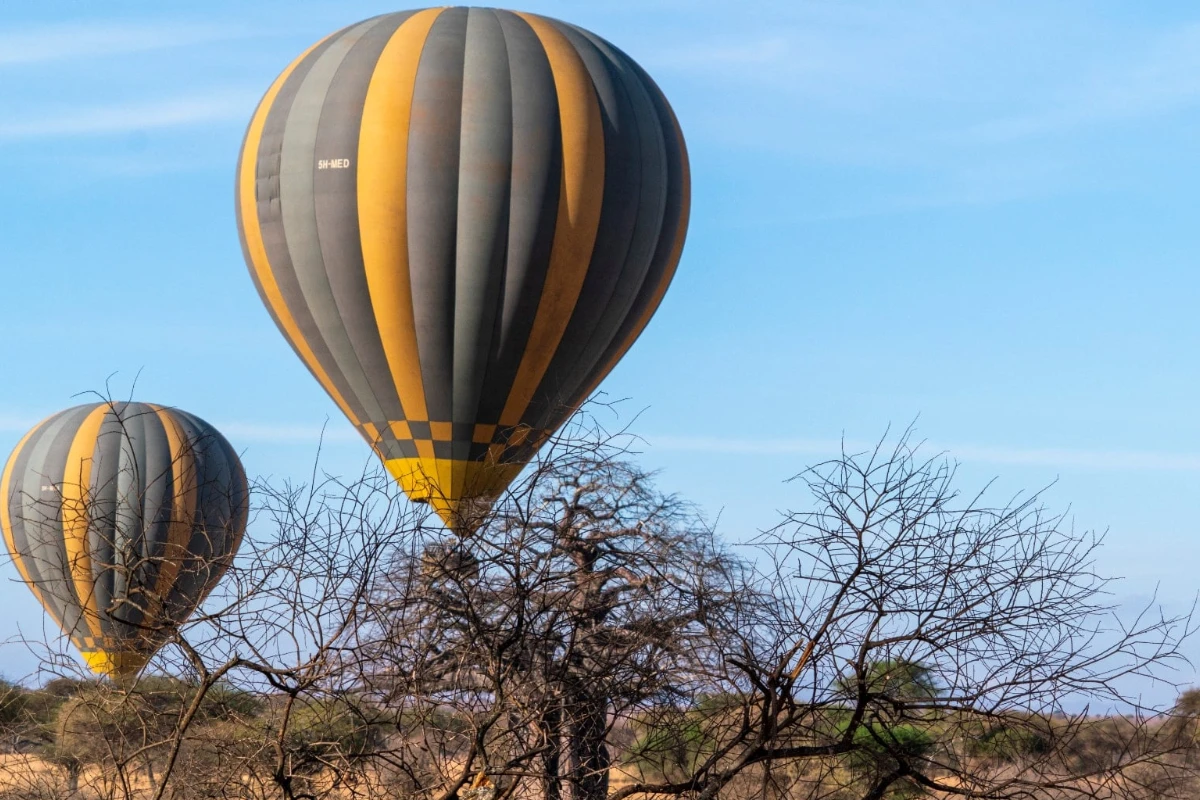 Hot Air Balloon Safari