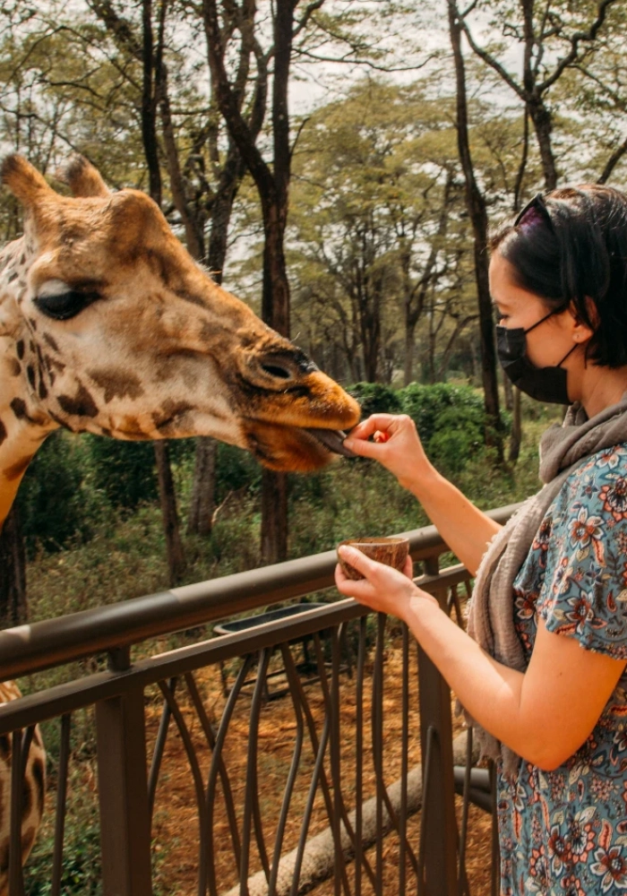 Lifetime Safaris