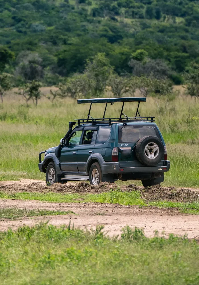 Rwanda Safari Cost