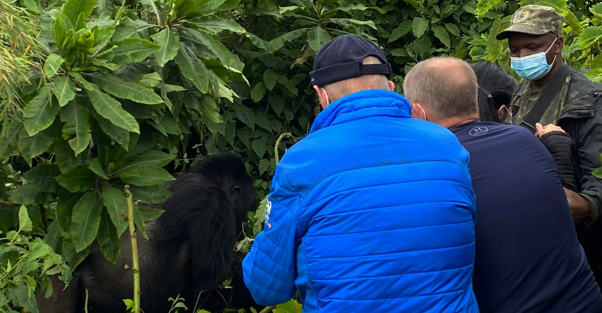 Rwanda Safari Facts