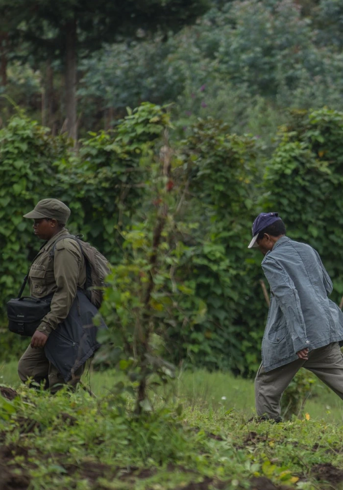 Rwanda Tourism