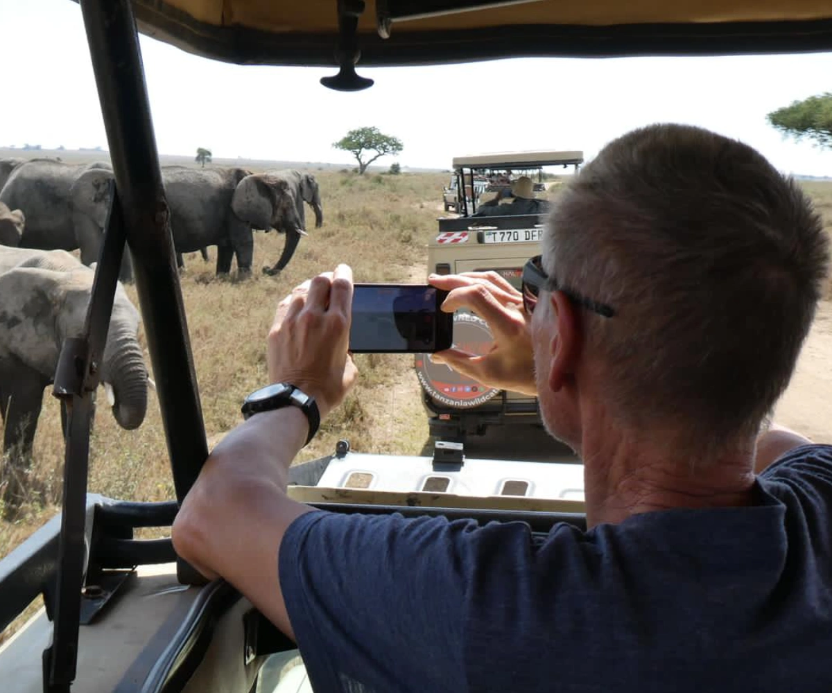 Enjoy Safari