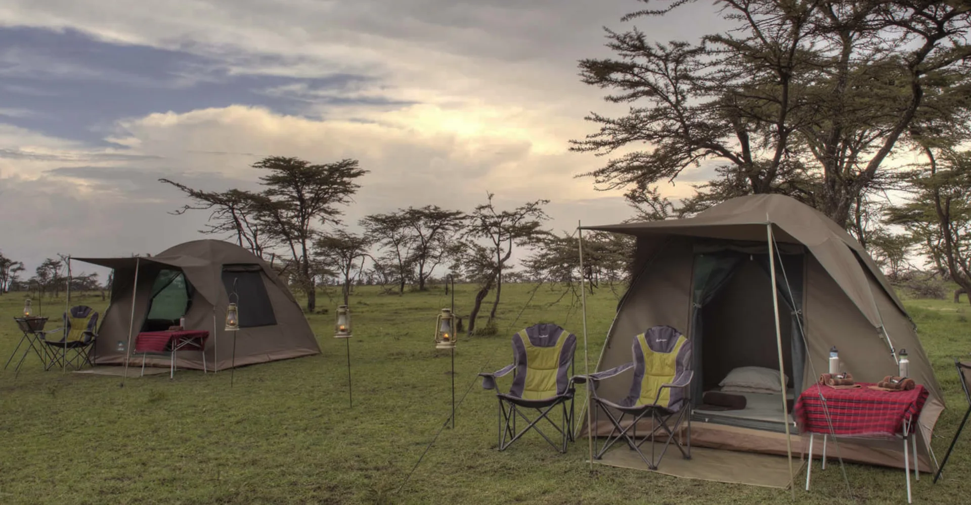 Lifetime Safaris