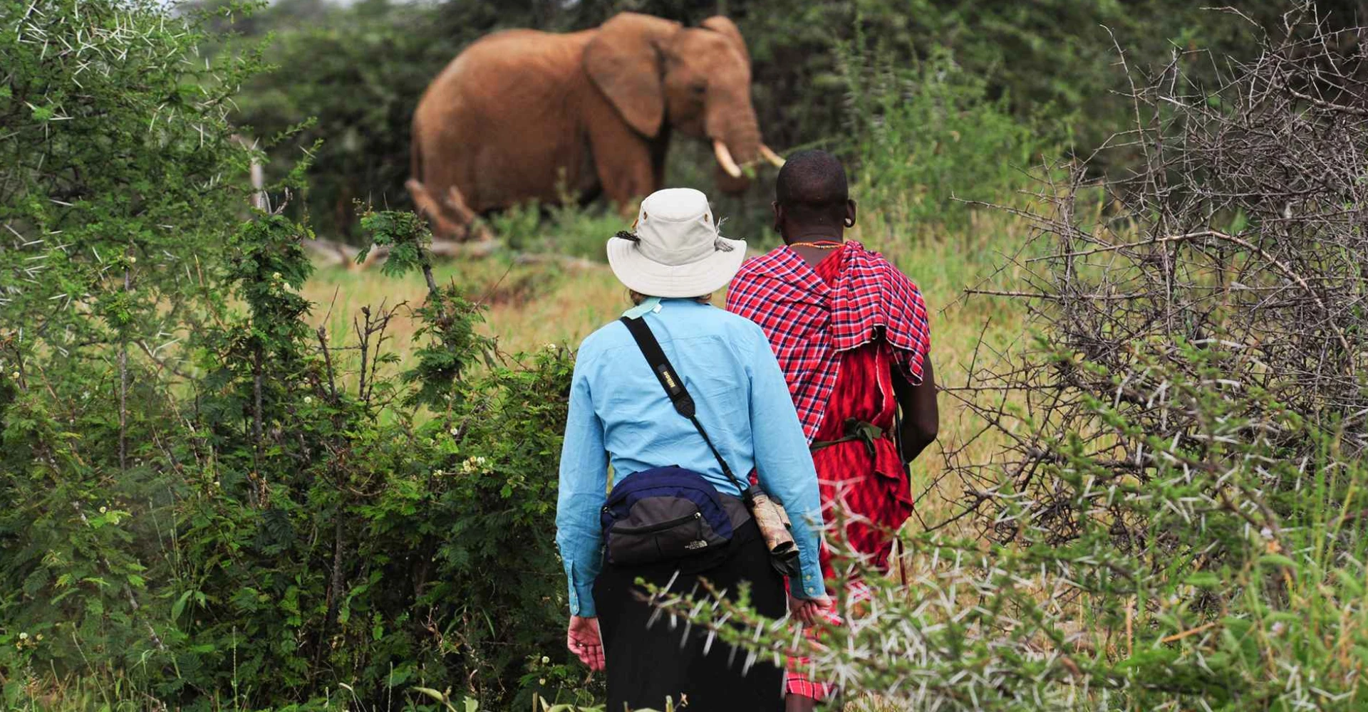 Lifetime Safaris