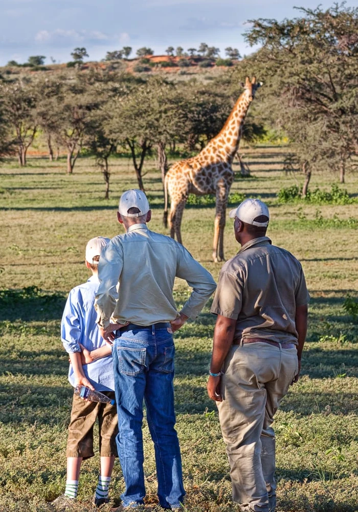 Tanzania Safari Guide