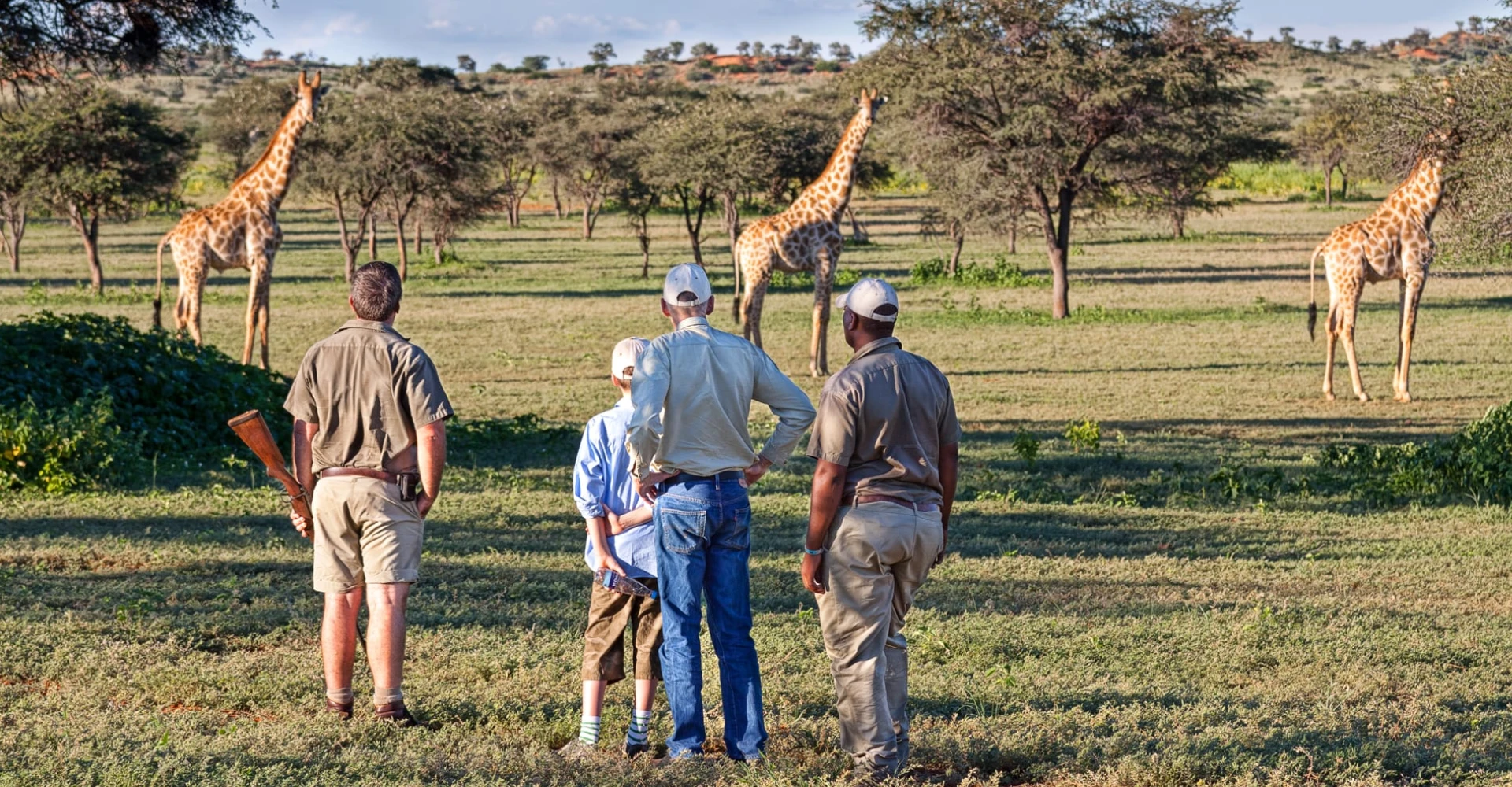 Lifetime Safaris
