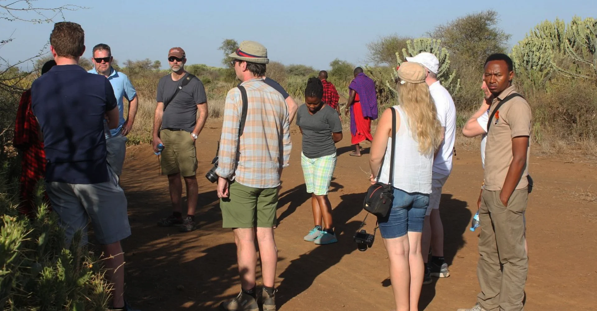 Lifetime Safaris