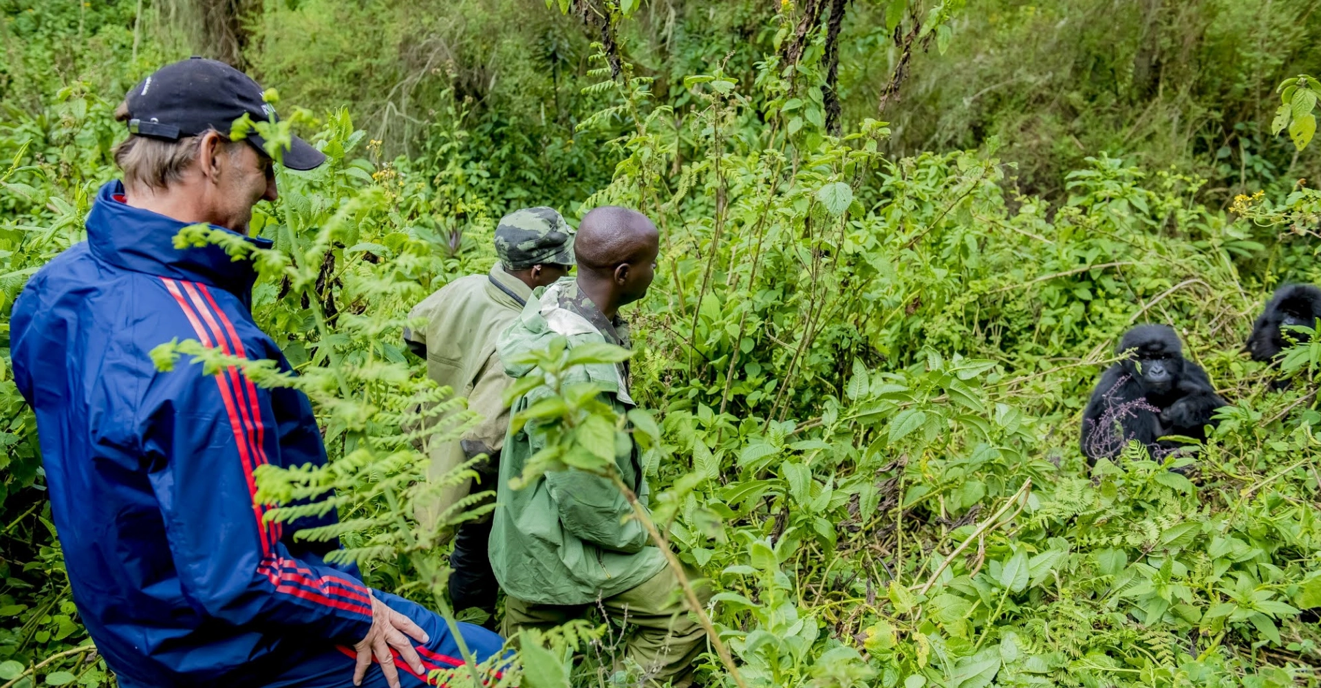 Lifetime Safaris